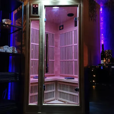 Wellness Stodolni 公寓 *