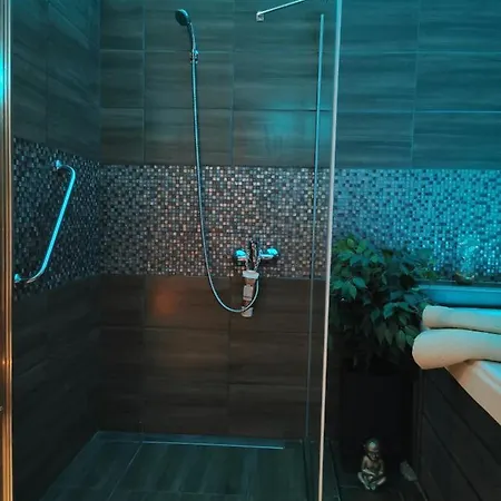 Appartement Wellness Stodolni *